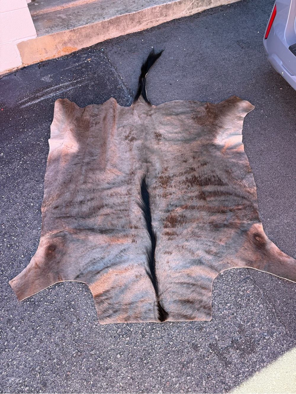African blue Wildebeest hide rug / wall hanging